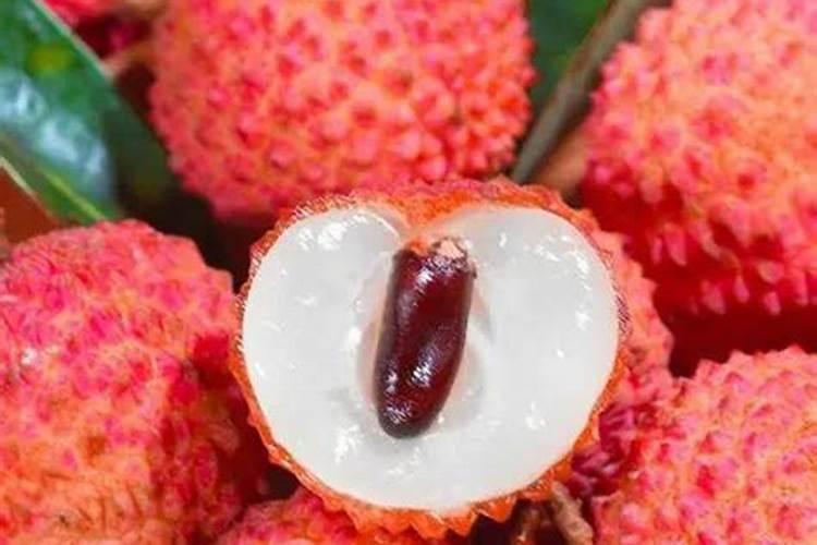 葡萄苗几月份种植合适
