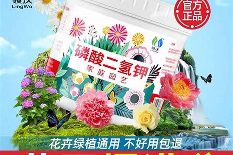 花卉专用肥都有哪些