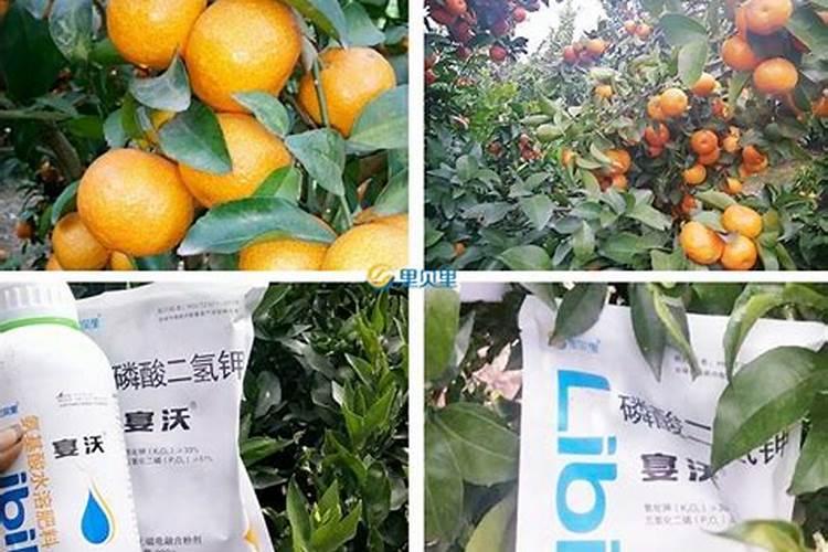 硼肥能和磷酸二氢钾混用喷施吗？