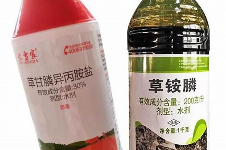 草甘膦喷到桑苗有影响吗？桑苗现在有小叶片了