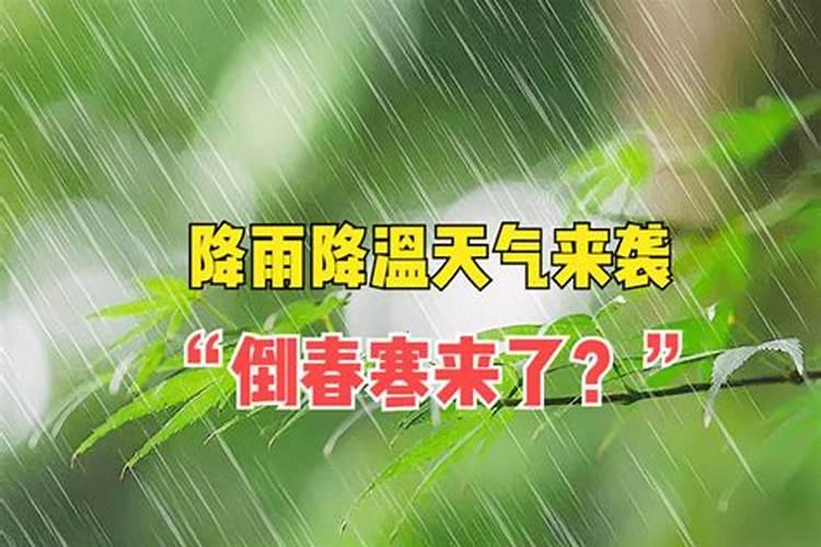 月季花用什么除草剂除草又不伤苗