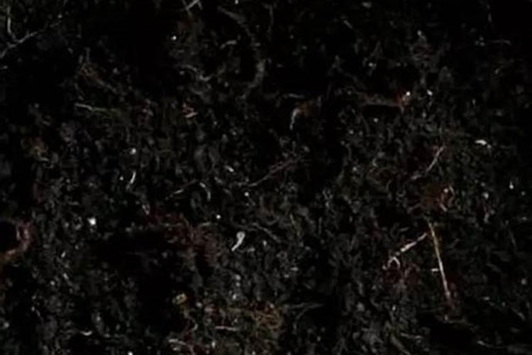 催花用什么肥料好怎么施？