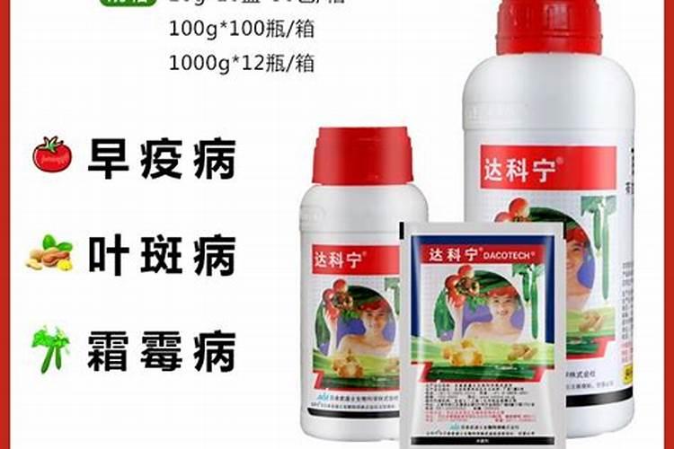 芹菜死苗烂根特效药