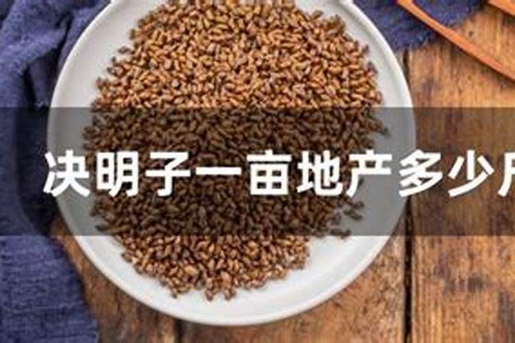 马蹄怎么种植 马蹄如何种植