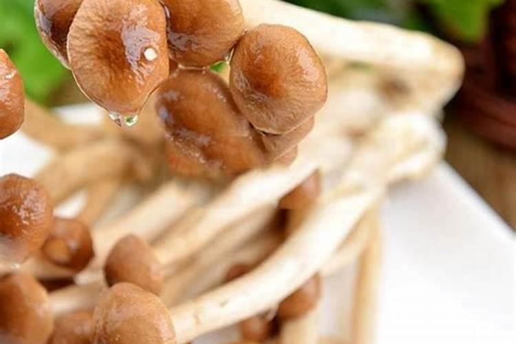 大豆什么时间施肥最好