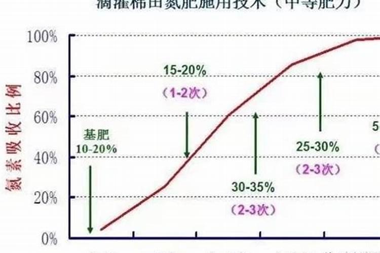 火龙果用什么肥料最好
