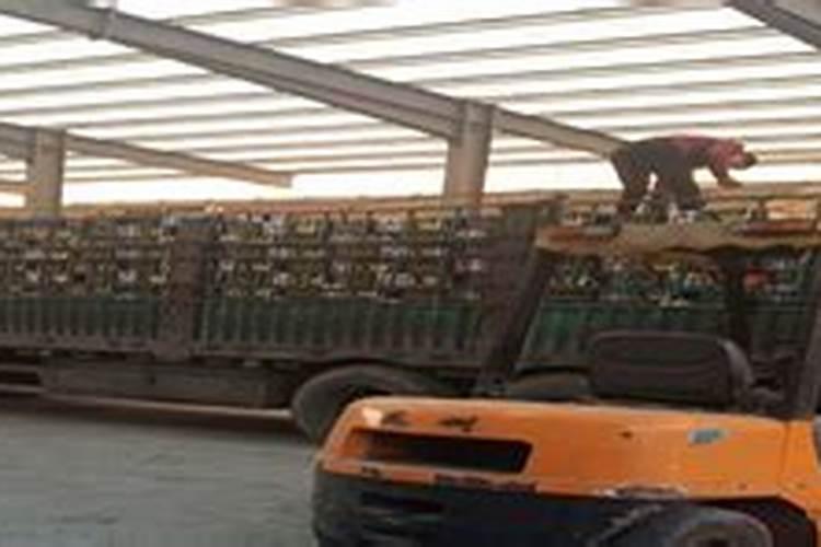 国内比较好水溶肥厂家有哪些