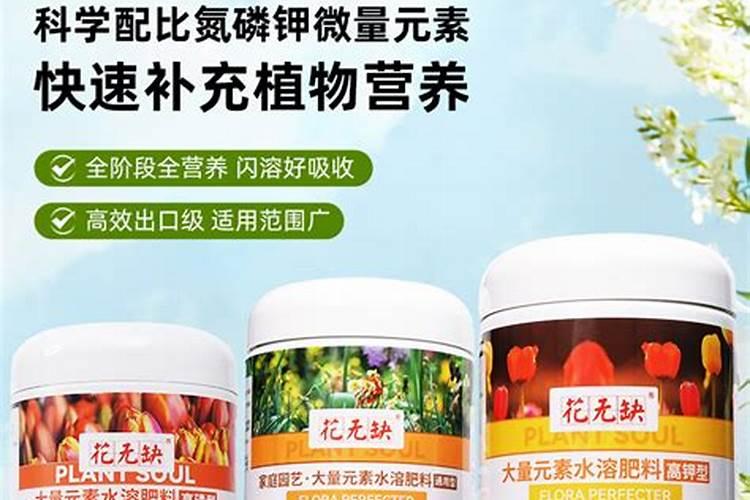 无花果挂果期施什么肥？