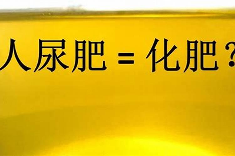 种菜用什么复合肥比较好
