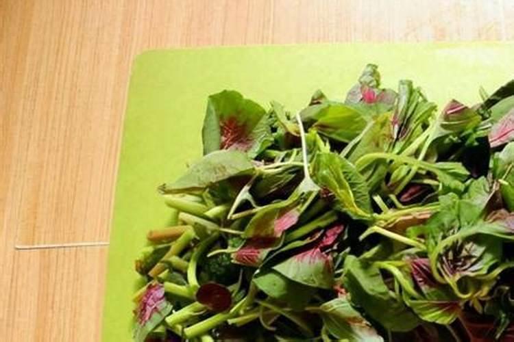 鱼蛋白原浆与鱼蛋白原粉用作植物肥料哪个更好？