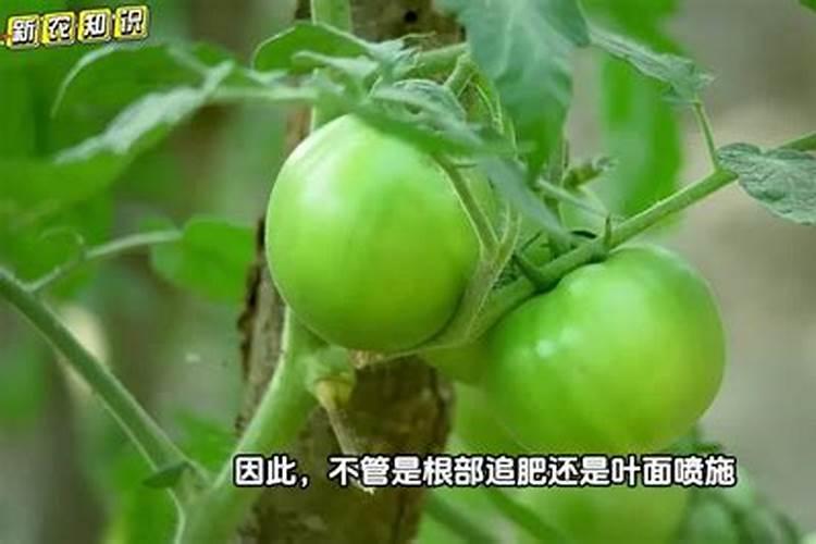 ...不缺阳光水分营养通风,两年多了就是不开花？求大神指教!