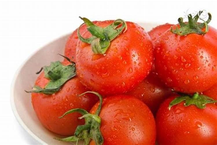 西红柿施什么肥最好？