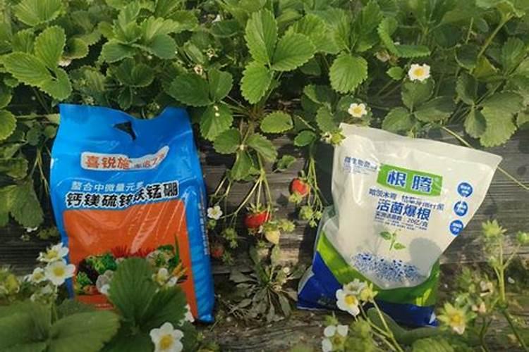 叶盛肥料怎么样