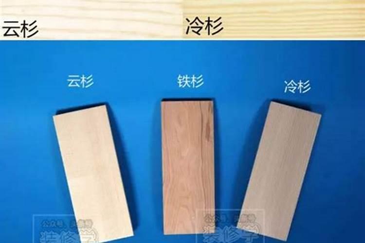 松木的生长周期是多长时间