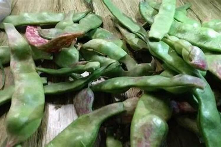 豆角冲高钾型大量元素水溶肥可以吗？