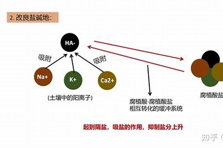 腐植酸螯合肥比普通肥料好在哪里？