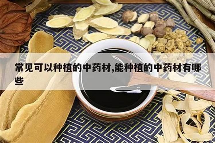 中药材专用肥料哪个品牌好？中药材一年追几次肥？追肥用什么肥料好？