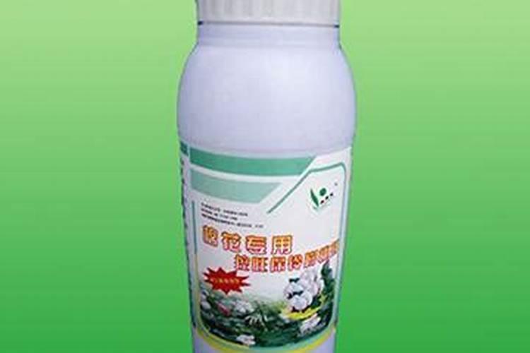 柑橘苗叶面肥施药方法