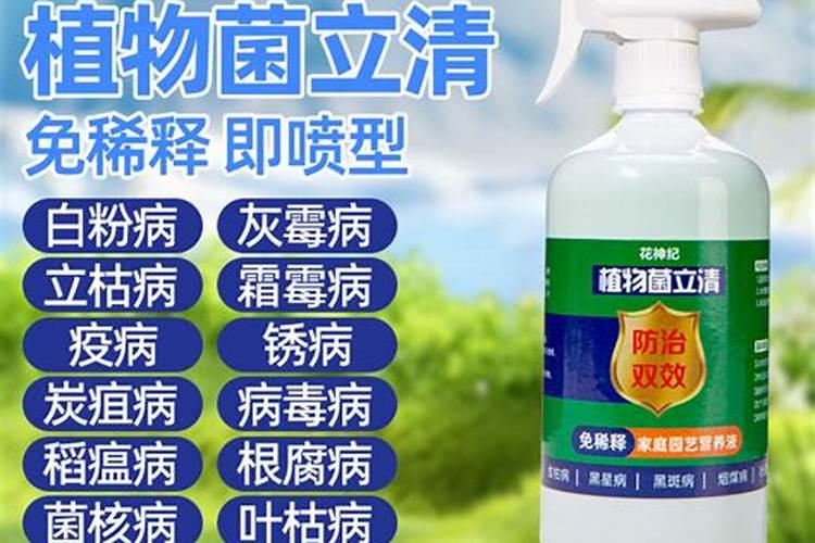 花卉黑粉病用什么药