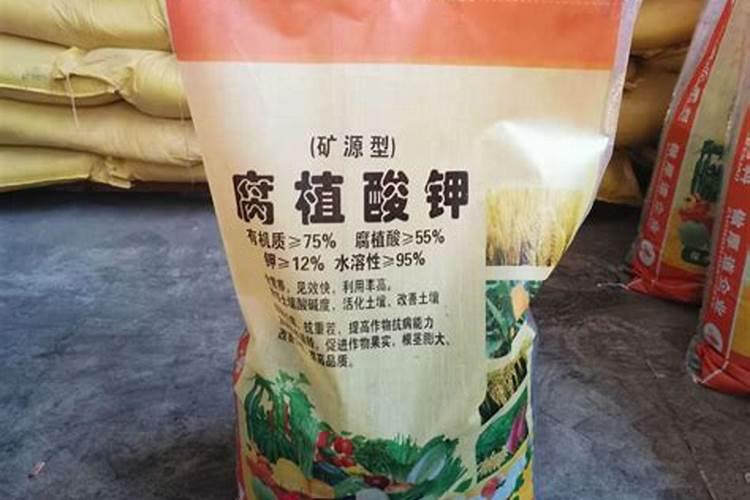 黄梅妙乐寺的妙乐法师