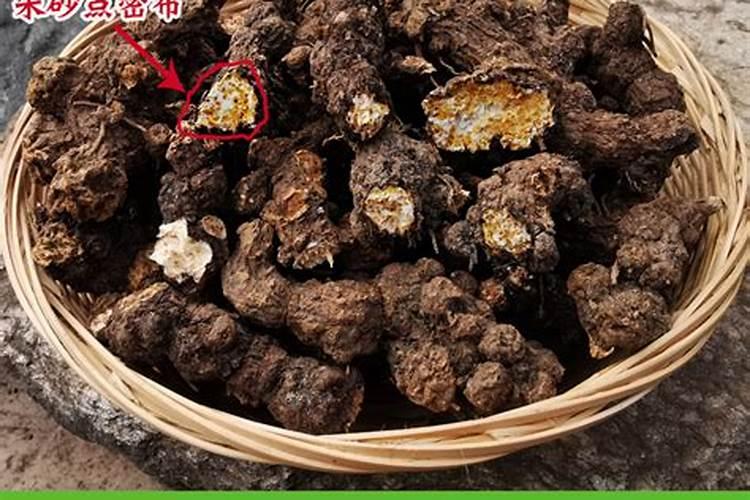 玉米用打叶面肥吗 使用注意事项有哪些