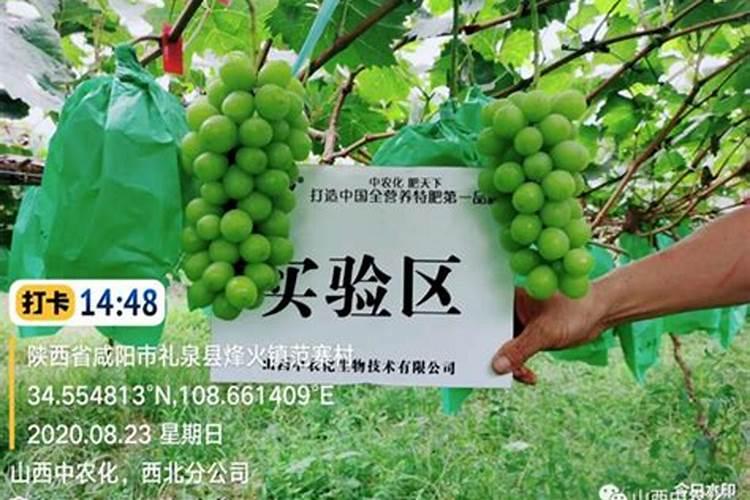 植物生根剂的使用方法 快速生根剂怎样使用效果好