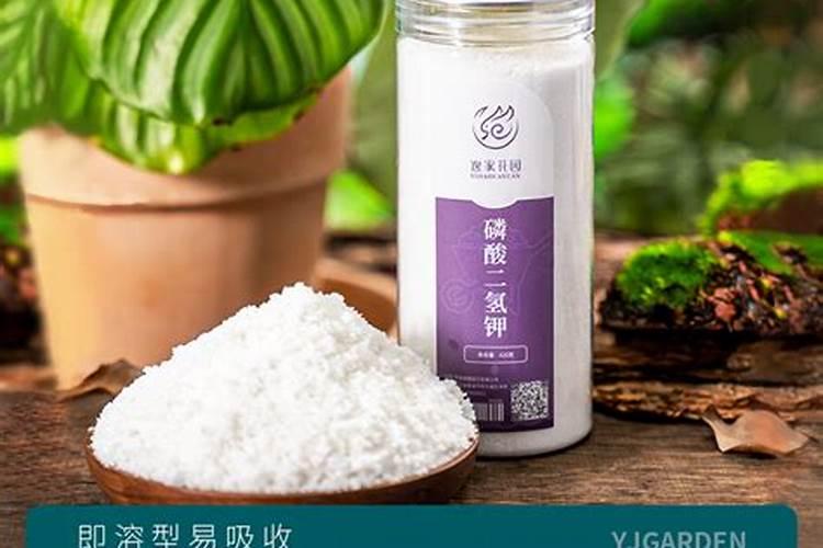 水溶肥如何给多肉施肥？