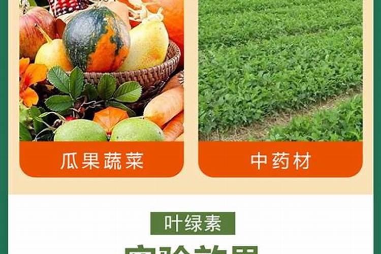 果树为什么要喷施叶面肥？叶面肥优势在哪里？