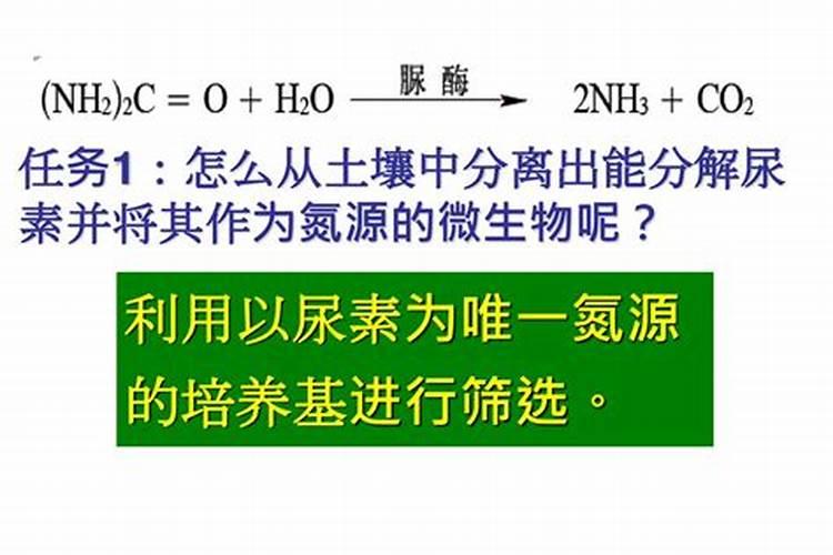 尿素氮肥使用方法