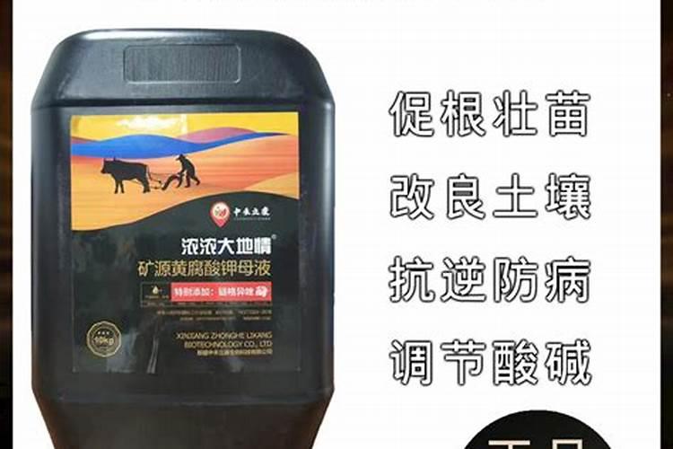 山东饲料厂有哪些