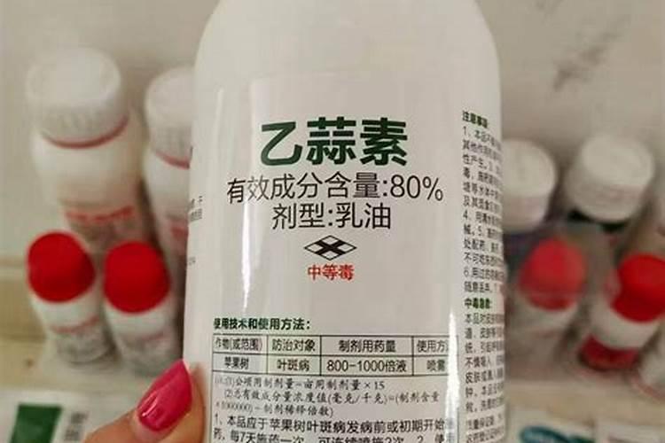 根腐病用什么药最好
