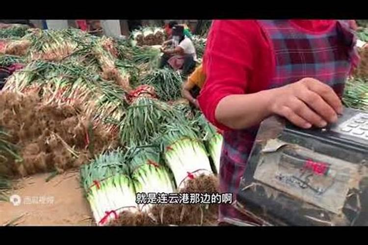 大葱用什么复合肥