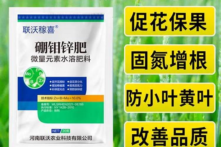 绷肥钼肥半大豆种硼肥能半大豆种吗？