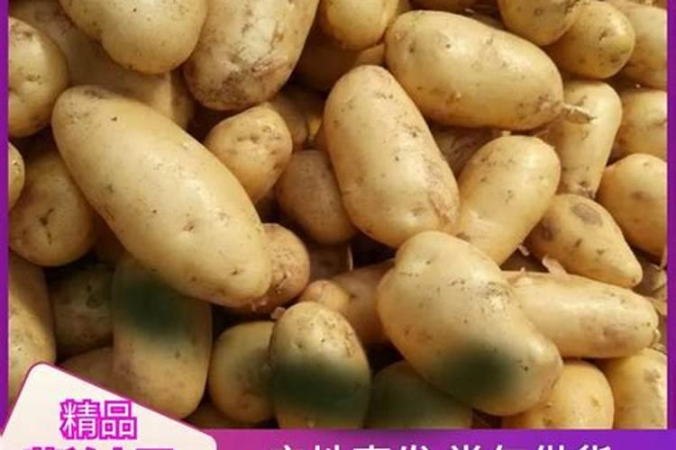 施尔旺蔬菜土豆专用肥好不好