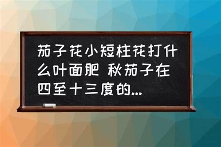 草莓高钾肥的使用方法