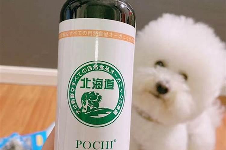 秋刀鱼有什么营养？
