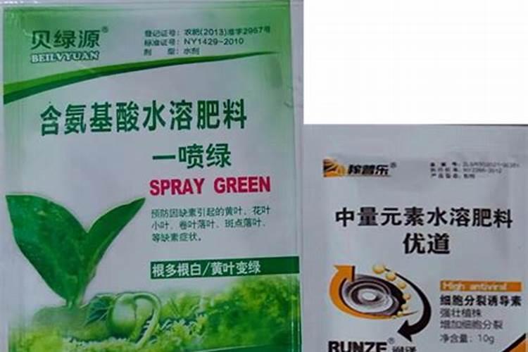 水溶肥一般几天见效