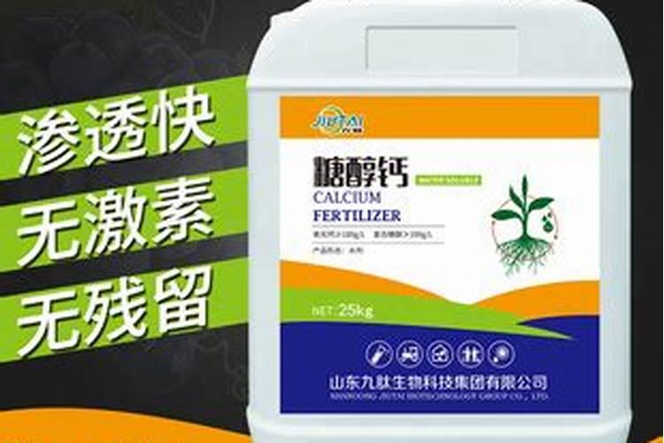 山茶花开花时能施肥吗,开花期施什么肥