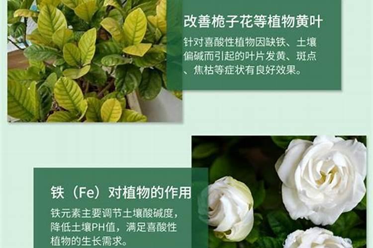 合力泰为什么涨停