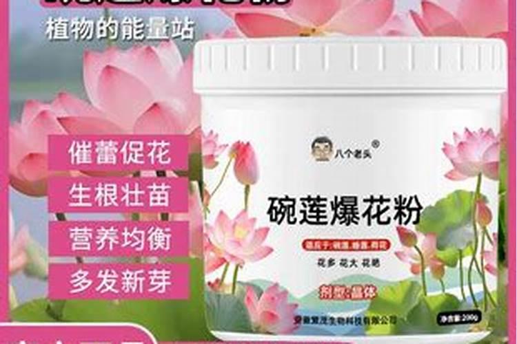促进开花结果施什么肥