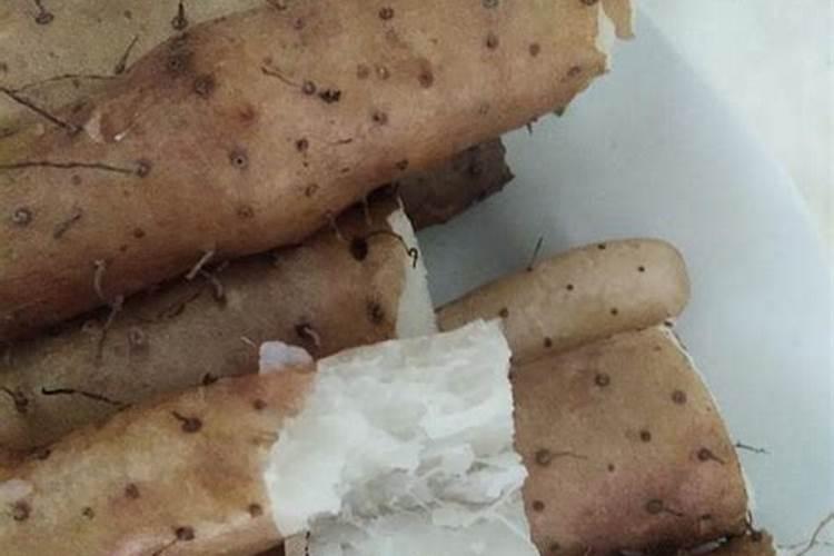 山药膨大常用的肥料