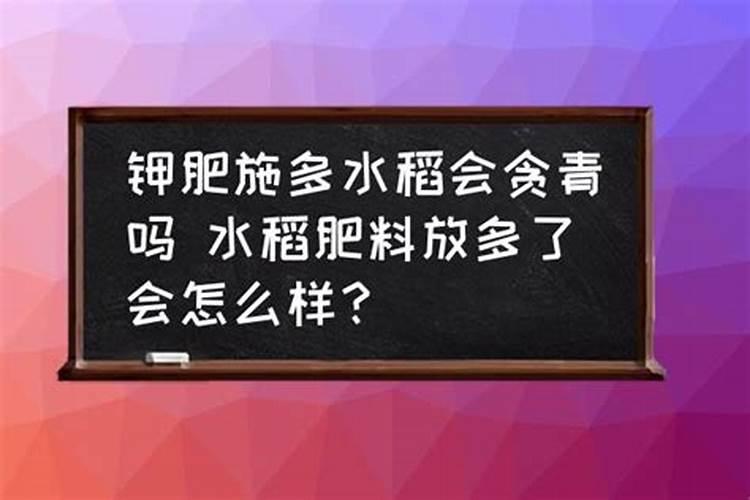 植物叶子发黄缺什么肥