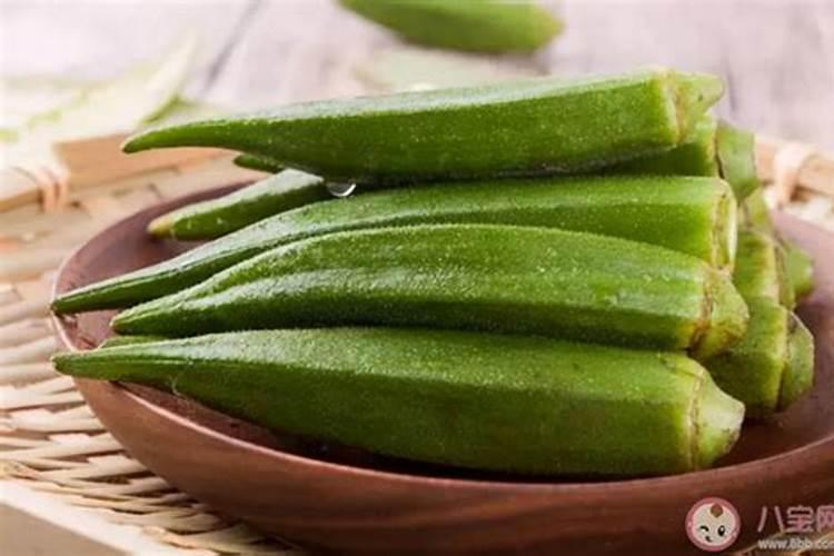 茉莉花追肥用什么肥料好