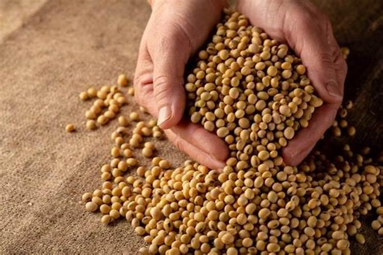 请问老师哈蜜瓜出现黑心病怎样防治？