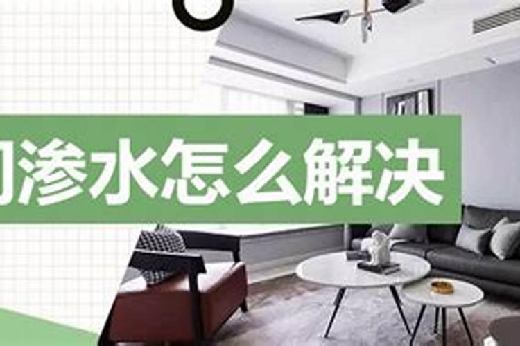 绿萝施肥方法,用什么肥好