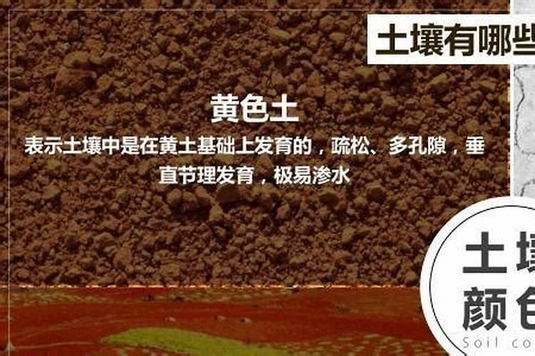 高磷水溶肥有哪些品牌？这个是哪个厂家生产的？有什么效果？