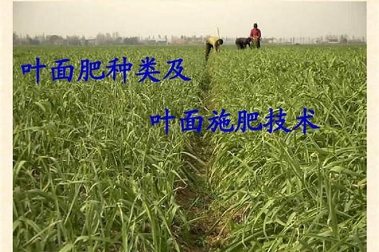露台上搭葡萄架,用什么材料好？？