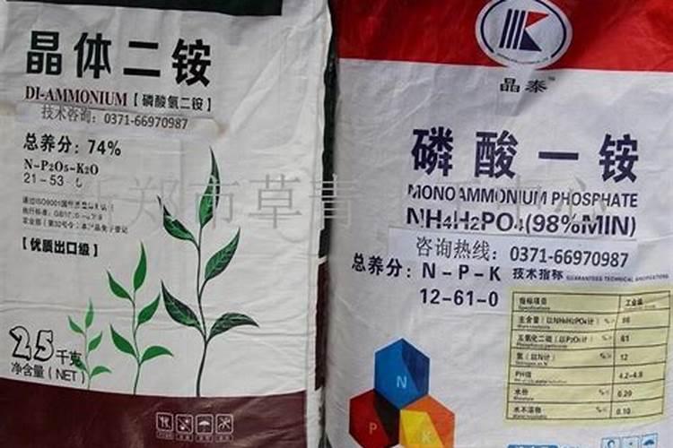 新疆哪里产粮区