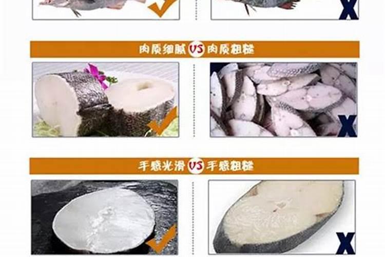 鱼蛋白和海藻精哪种好