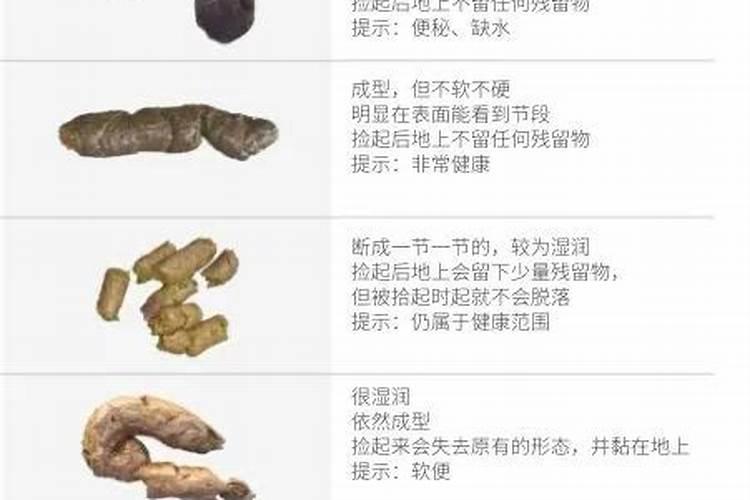 羊粪是什么花肥,是钾肥还是磷肥呢